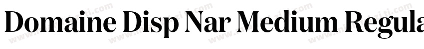 Domaine Disp Nar Medium Regular字体转换